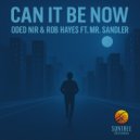 Oded Nir & Rob Hayes feat. Mr. Sandler - Can It Be Now (Original Mix)