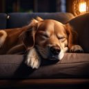 Terapia musical para el alma animal & Sonidos etéreos para seres & Sonidos para la paz animal - Orquesta Calma Para Mascotas