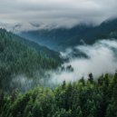 Relaxing Study Music Moments & Academic Focus & Peaceful Night Work - Soft Echo Through Pine And Mist ()