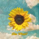 BLOSSM - Like What ()