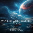 Mr.Tac - Hologram