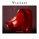 Visitant - Briars ()