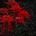 qwvnt - Lycoris ()
