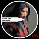 Rowan Echo - it\'s love guide (Original Mix)