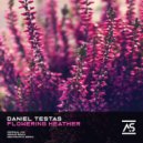 Daniel Testas - Flowering Heather