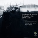 Bogdan Elin & 3 Colours of White - Berlin Wall (Traumer \'male\' Remix)