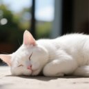 Soft Cat Music & Harmonious Cats & Perfect Cat Music - Cats’ Restful Lofi Tunes ()