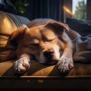 Radio Canina Relajante & Música de spa para perros & Academia de Música para Perros - Orquesta Relajante En Armonía Canina