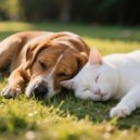 Silent Pet Moments & Quiet Pet Music & Music For Playing With Pets - Relaxing Lofi Pets’ Vibes
