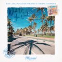 Bay Leaf, Poolside Pirates & Tropic Thunder - What Do You Need