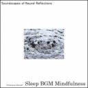 Sleep BGM Mindfulness - Change Embraced with Rhythms of Emotional Expression for Rest