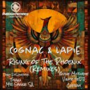 Cognac & Lapie - Rise of The Phoenix (8nine Muzique Remix)