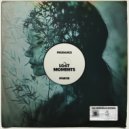 Prudance - Lost Moments
