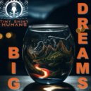 Tiny Shiny Humans - Big Dreams ()