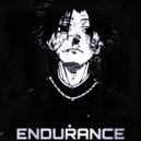 SXMXRXI - ENDURANCE.waw (Slowed)