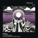 Molsy - Faces (DMITRY SID Remix)