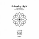 Following Light - Larimar (Geerk Remix)