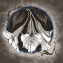 DEMATERIALIZE & Notions - DATURA ()