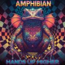 Hands Up Higher - Amphibian ()