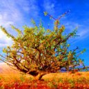 Edward Bai - Commiphora myrrha (progressive house)