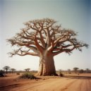 Edward Bai - Baobab (melodic techno, tech house) (mix)