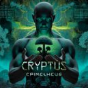 Cryptus - The Architect
