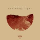 - Flashing Light (Dub Mix)