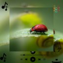Xyphira Keltryx & Cha Se-Eun - Halvor Grendik (Original Mix)