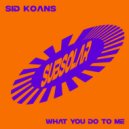 Sid Koans - What You Do To Me