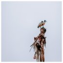 Theny - Flora (Original Mix)
