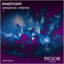 Photom - Temple of Vibrate (Original Mix)