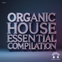 Obsidian Pulse - No Closure (Original Mix)