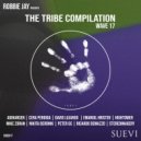 Peter GC - My Tradition (Original Mix)