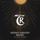 Adonis Harisov - In the Dark