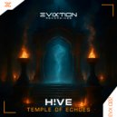 H!VE - Temple Of Echoes (Extended Mix)