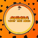 Aminga - What You Need (Original Mix)