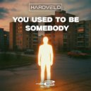 Hardveld - You Used To Be Somebody (Original Mix)