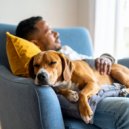 Ecos Tranquilos & Melodas Serenas & Noches Acogedoras - Melodas Lofi Que Acompaan Perros Tranquilos ()