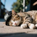 Music For Rehoming Cats & Music for your Cat & Nature Music for Cats - Soft Cats Hip Beats