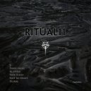 Plural - What Say You (Original Mix)