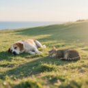 Pet Music Collection & Sunday Morning Music & Music for Dogs Prime - Pet Relaxation Calm Melodies ()