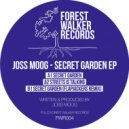 Joss Moog - Secret Garden (Flapjackers Remix)