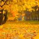 Osc Project - Falling Leaves (Original Mix)