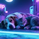 X-Ray Dog Music & Canine Sounds & Music for dog's joys - Calm Dog Sleep Beats
