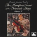 Promenade Strings and Orchestra - Bandidos ()