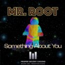 Mr. Root - Something About You (Extended Dub Mix)