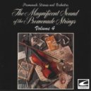 Promenade Strings and Orchestra - Czardas
