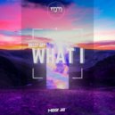Missy Jay - What I (Electro Mix)