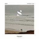 Basp - Without You (Original Mix)
