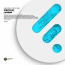 Proyal - Digital Destiny (Extended Mix)